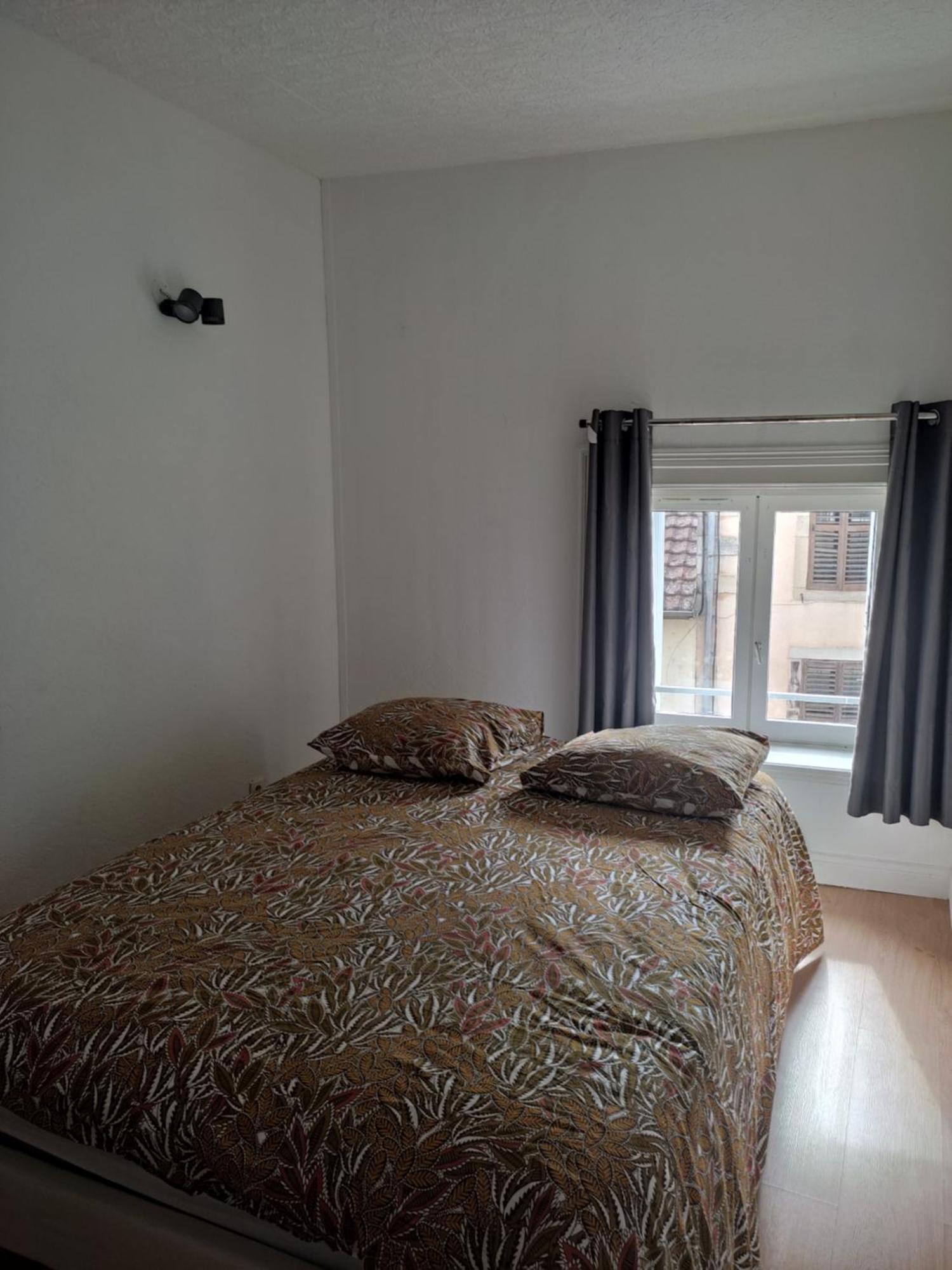 Sezane Apartment Bains-les-Bains Ngoại thất bức ảnh